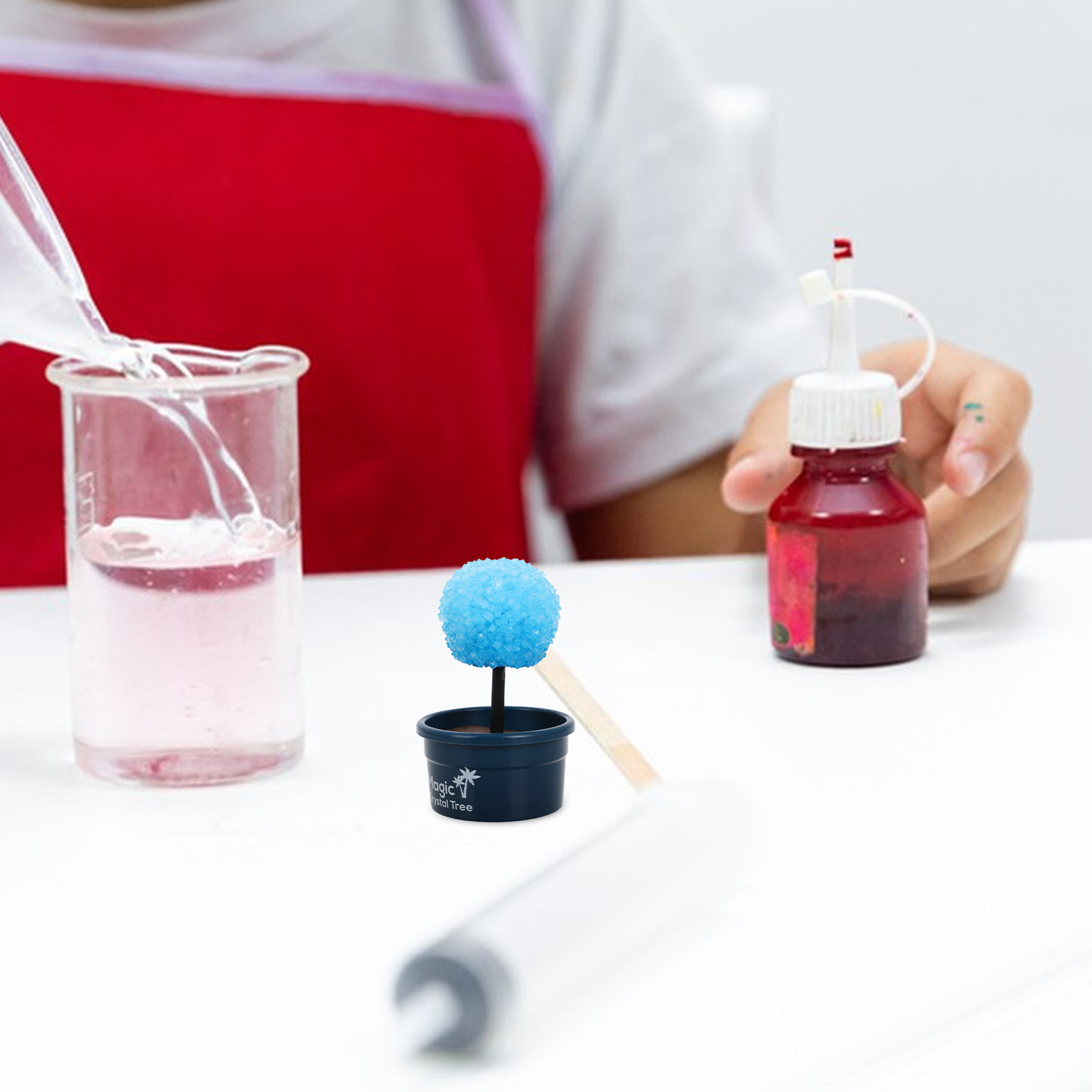 1Set Crystal Craft Set for Chi - Science Kit avis et prix