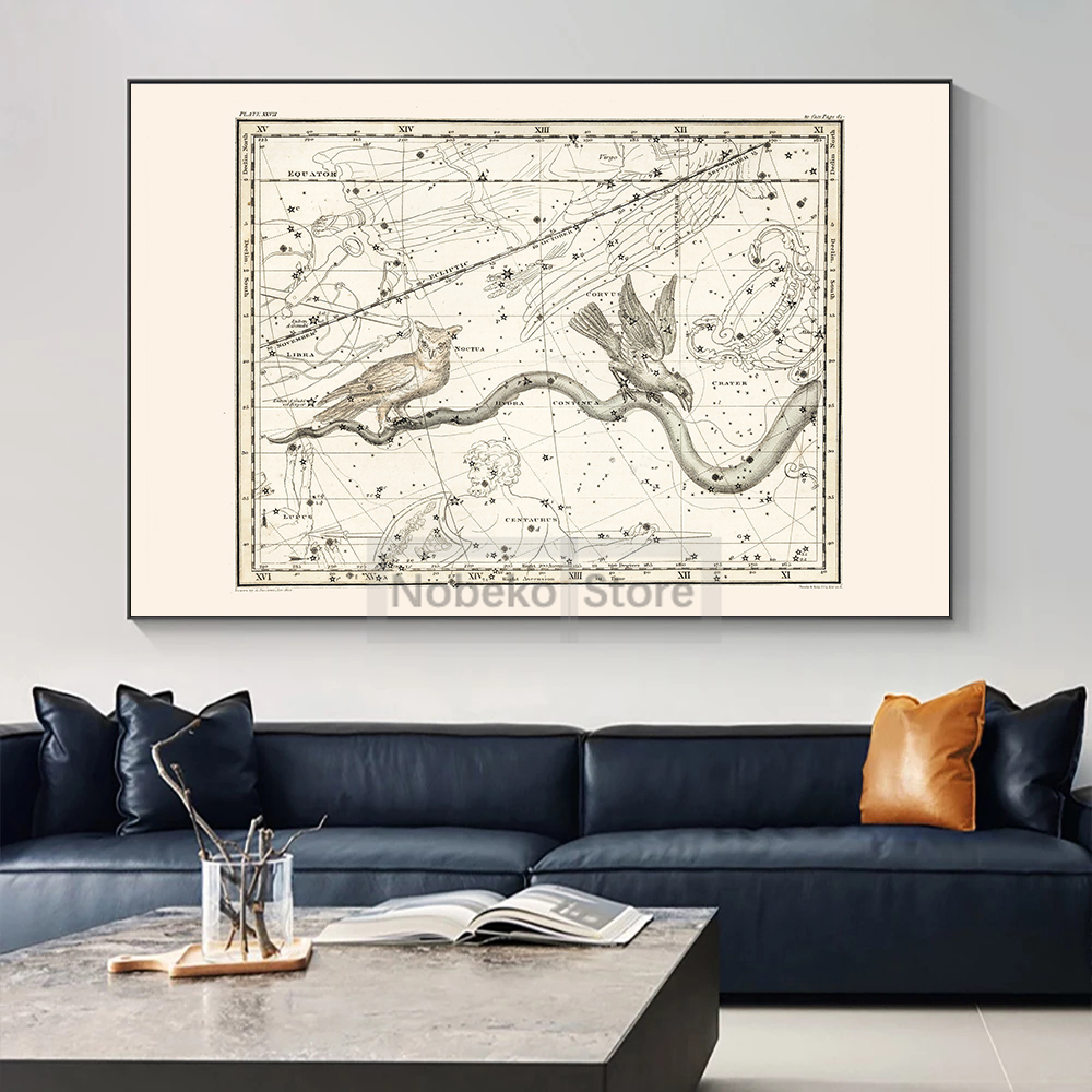 Zodiac Map Astrology Map Poste - Star Map Poster avis et prix