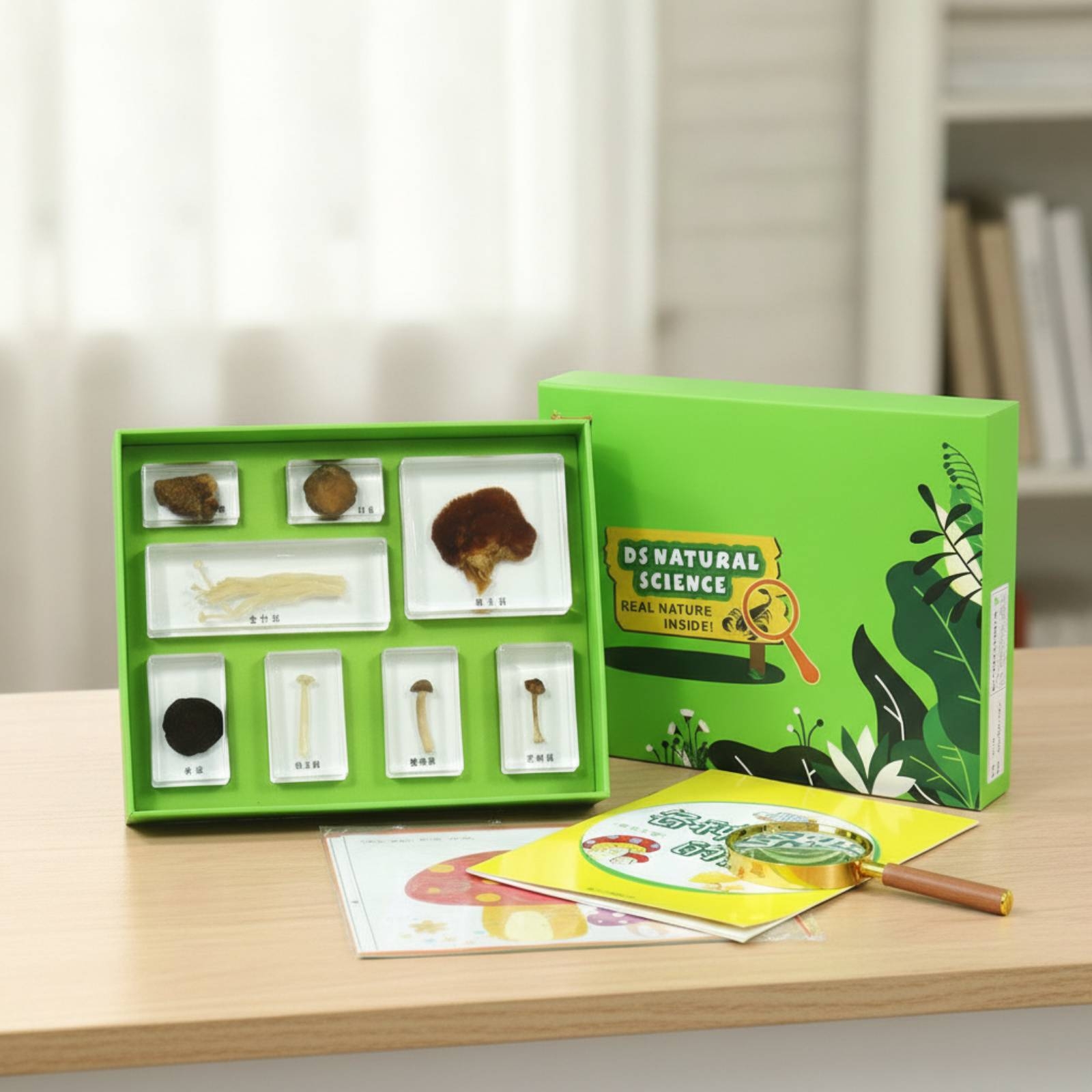 Resin Sample Blocks with Tray  - Science Kit avis et prix