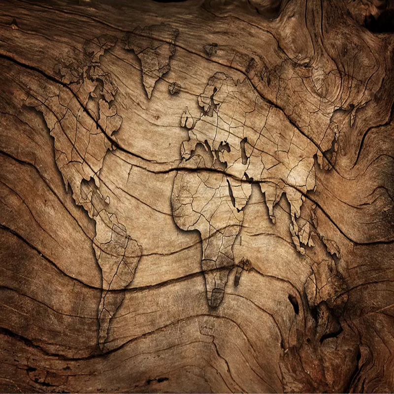 Custom Any Size Mural Wallpape - Star Map Poster avis et prix